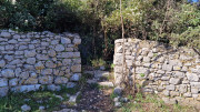 Sauve_25_02-113