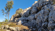 Sauve_25_02-114