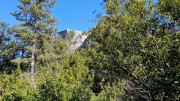Sauve_25_02-115