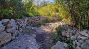 Sauve_25_02-118