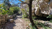 Sauve_25_02-120