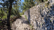 Sauve_25_02-122