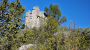 Sauve_25_02-127