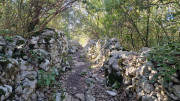 Sauve_25_02-128