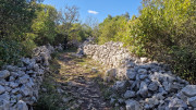 Sauve_25_02-129