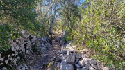 Sauve_25_02-130