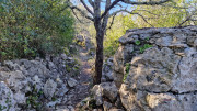 Sauve_25_02-133