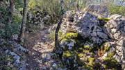 Sauve_25_02-134