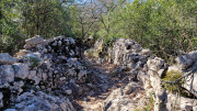 Sauve_25_02-135