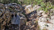 Sauve_25_02-136