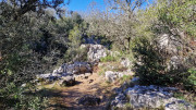 Sauve_25_02-140