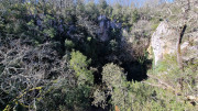 Sauve_25_02-141