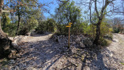 Sauve_25_02-143