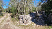 Sauve_25_02-145