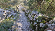 Sauve_25_02-146