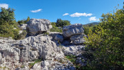 Sauve_25_02-147