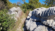 Sauve_25_02-148