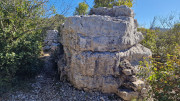 Sauve_25_02-149