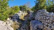 Sauve_25_02-150