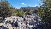 Sauve_25_02-151
