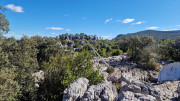 Sauve_25_02-152
