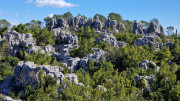 Sauve_25_02-155