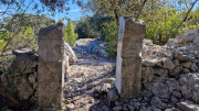 Sauve_25_02-163