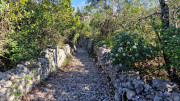 Sauve_25_02-167