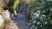 Sauve_25_02-168