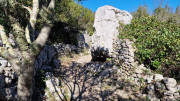 Sauve_25_02-169