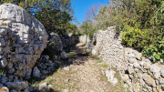 Sauve_25_02-170