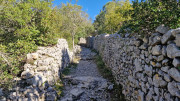Sauve_25_02-171