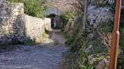 Sauve_25_02-174