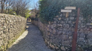 Sauve_25_02-175