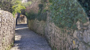 Sauve_25_02-176
