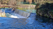 Sauve_25_02-195