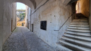 Sauve_25_02-203