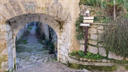 Sauve_25_02-204