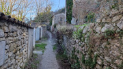 Sauve_25_02-206