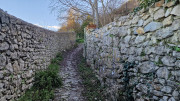 Sauve_25_02-207
