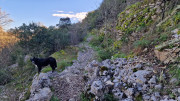 Sauve_25_02-208