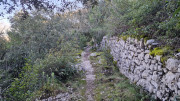 Sauve_25_02-210