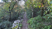 Sauve_25_02-214