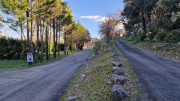 Sauve_25_02-218