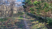 Sauve_25_02-225