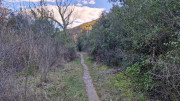 Sauve_25_02-228