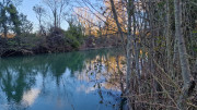 Sauve_25_02-229