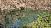 Sauve_25_02-230