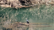 Sauve_25_02-231