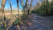Sauve_25_02-234